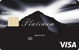 Visa Platinum Card 1200